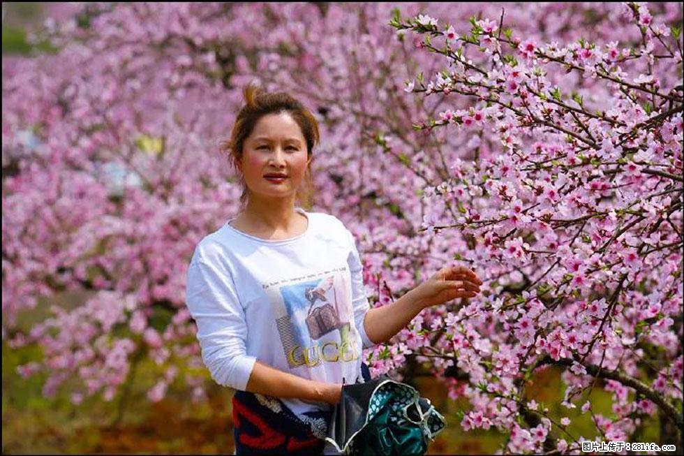【春天,广西桂林灌阳县向您发出邀请!】官庄村有个醉美的桃花园 - 游山玩水 - 宿迁生活社区 - 宿迁28生活网 suqian.28life.com