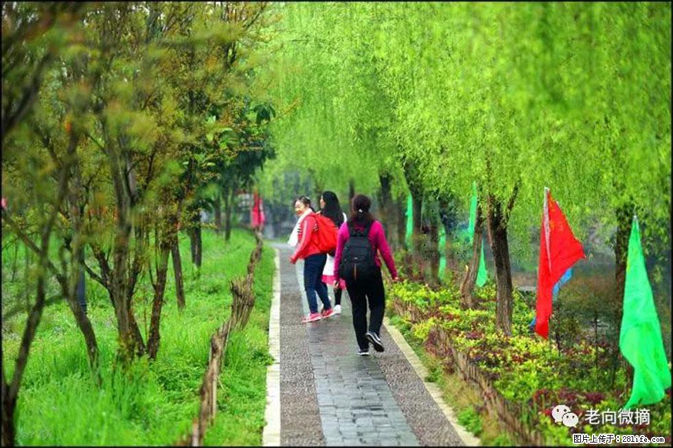 【春天,广西桂林灌阳县向您发出邀请!】江口老街又逢春 - 游山玩水 - 宿迁生活社区 - 宿迁28生活网 suqian.28life.com