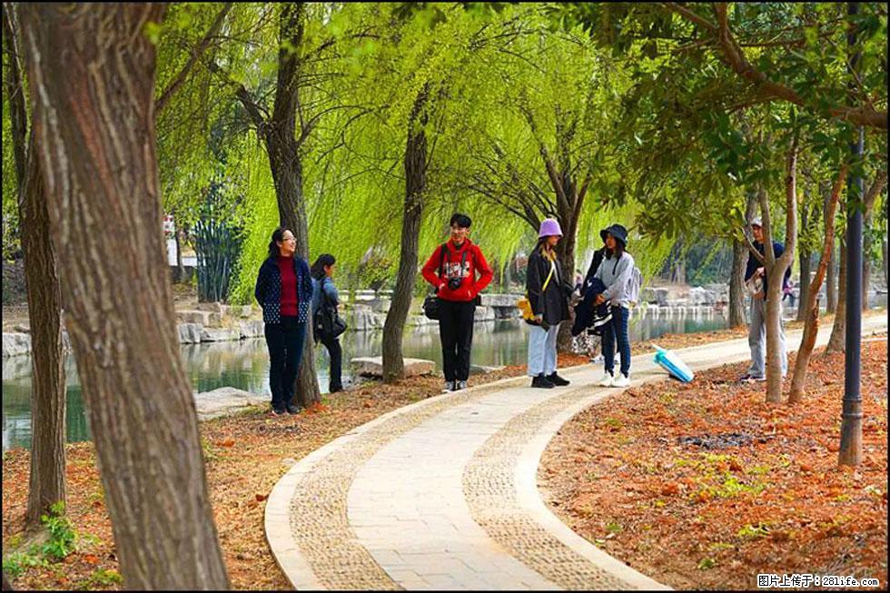 【春天,广西桂林灌阳县向您发出邀请!】江口老街又逢春 - 游山玩水 - 宿迁生活社区 - 宿迁28生活网 suqian.28life.com
