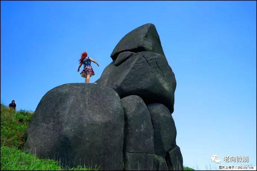 【春天,广西桂林灌阳县向您发出邀请!】宝盖山上映山红 - 游山玩水 - 宿迁生活社区 - 宿迁28生活网 suqian.28life.com