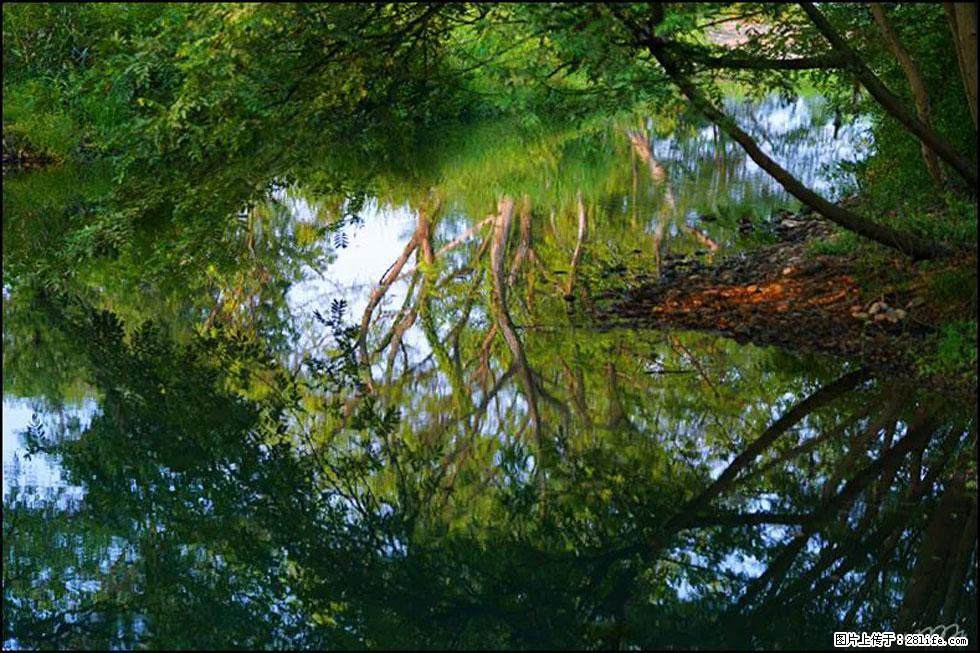 【春天,广西桂林灌阳县向您发出邀请!】熊家寨湿地公园 - 游山玩水 - 宿迁生活社区 - 宿迁28生活网 suqian.28life.com