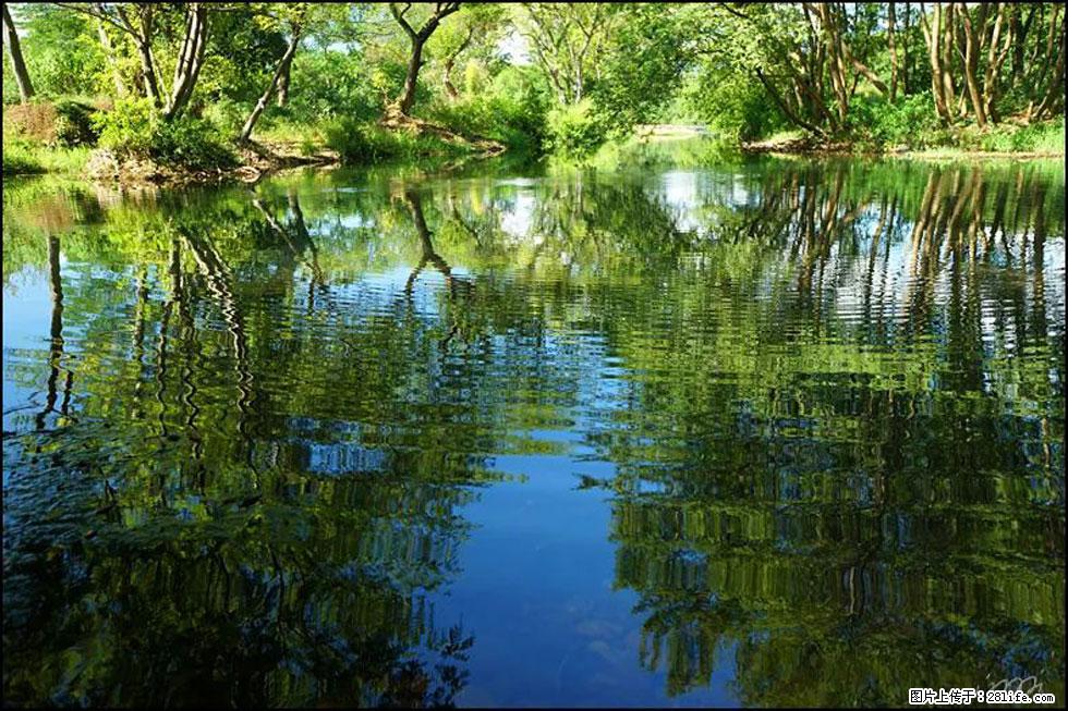 【春天,广西桂林灌阳县向您发出邀请!】熊家寨湿地公园 - 游山玩水 - 宿迁生活社区 - 宿迁28生活网 suqian.28life.com