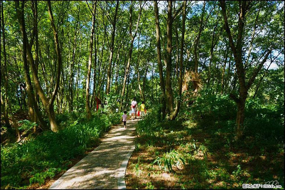 【春天,广西桂林灌阳县向您发出邀请!】熊家寨湿地公园 - 游山玩水 - 宿迁生活社区 - 宿迁28生活网 suqian.28life.com