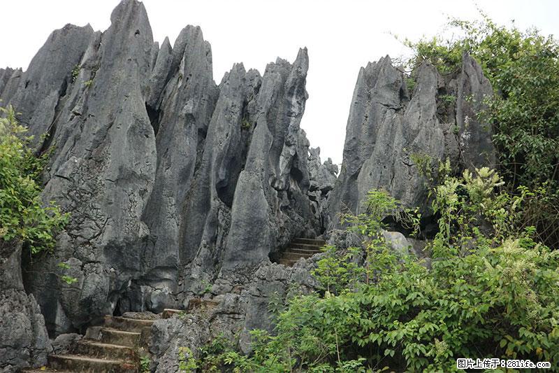 桂林旅游名城景点：灌阳文市石林 - 游山玩水 - 宿迁生活社区 - 宿迁28生活网 suqian.28life.com