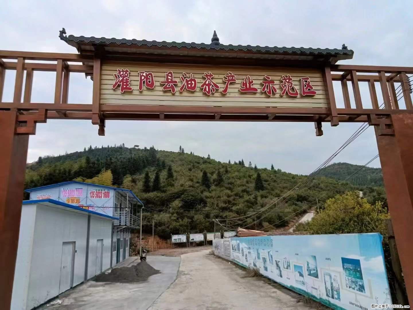 【灌阳县油茶产业示范区】一个有着充实的精神生活的人,对待身外之物自会有一种淡泊的态度 - 美食天地 - 宿迁生活社区 - 宿迁28生活网 suqian.28life.com