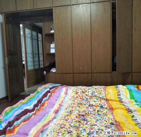 天成家园整个小区,唯一南北户型两房,比大熊猫难找,一定要快了 - 房屋出租 - 房屋租售 - 宿迁分类信息 - 宿迁28生活网 suqian.28life.com