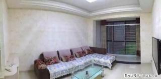 中豪国际花园精装修 两室两厅一卫 商贸城北侧 - 宿迁28生活网 suqian.28life.com