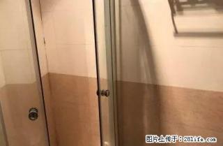 宝龙 单身公寓 精装修 - 宿迁28生活网 suqian.28life.com