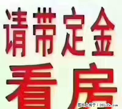 明日星城 两室两厅 简单装修 出租 - 房屋出租 - 房屋租售 - 宿迁分类信息 - 宿迁28生活网 suqian.28life.com