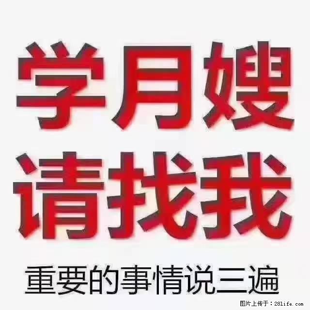 【招聘】月嫂，上海徐汇区 - 其他招聘信息 - 招聘求职 - 宿迁分类信息 - 宿迁28生活网 suqian.28life.com