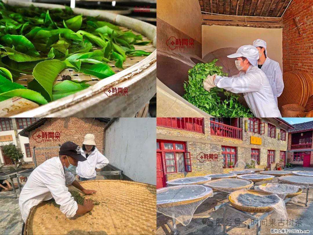 时间果百年古树龙珠普洱生茶 - 购物交流 - 宿迁生活社区 - 宿迁28生活网 suqian.28life.com