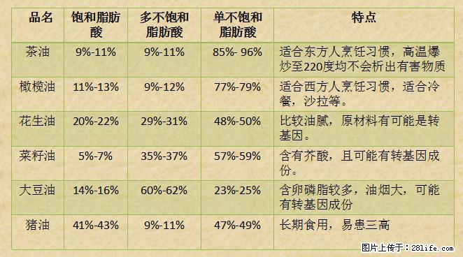 揭秘茶油的5大核心营养成分!被称为人体健康的“守护盾”! - 宿迁生活资讯 - 宿迁28生活网 suqian.28life.com