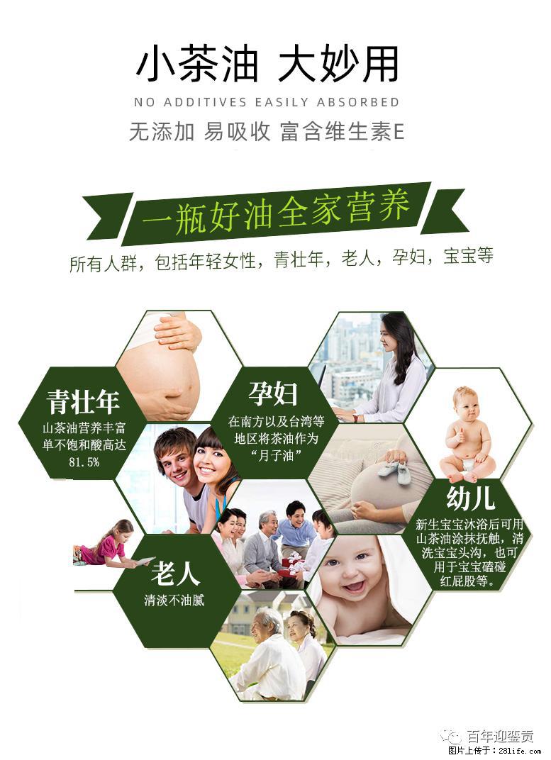 世界没有真相,只有认知,最好的食用油是中国的山茶油! - 宿迁生活资讯 - 宿迁28生活网 suqian.28life.com