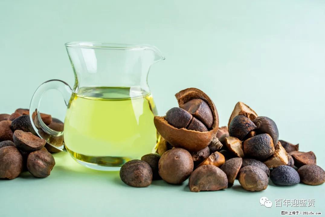 世界没有真相，只有认知，最好的食用油是中国的山茶油！ - 宿迁生活资讯 - 宿迁28生活网 suqian.28life.com