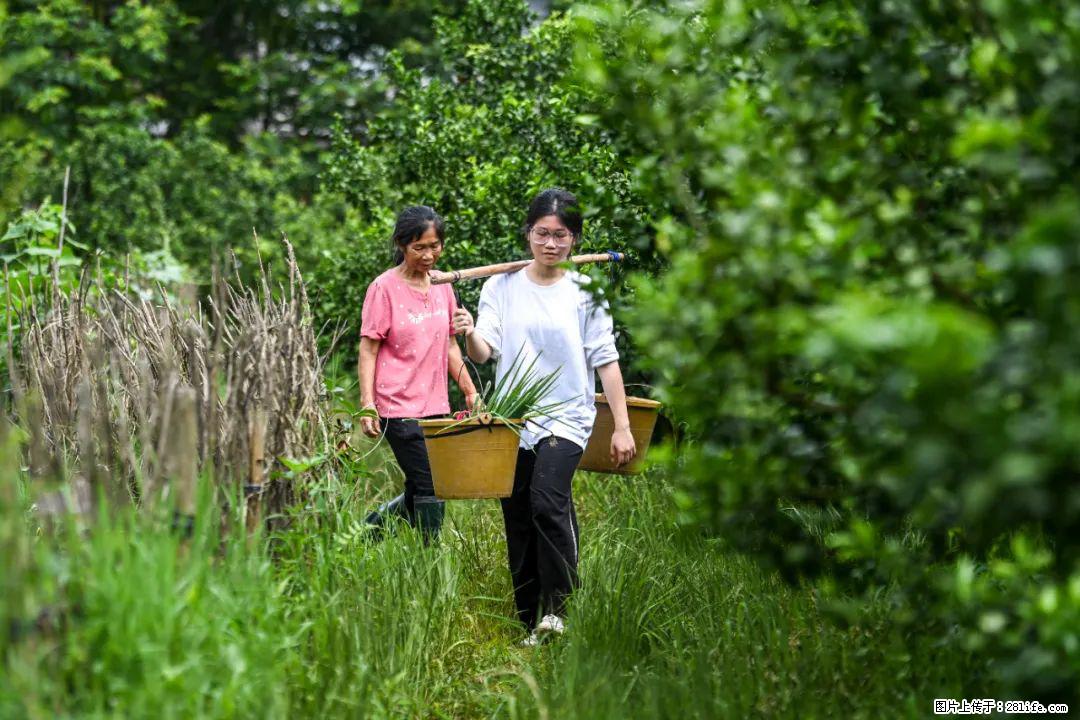 全网追的“扁担女孩”，找了一份暑假工，时薪12元 - 宿迁生活资讯 - 宿迁28生活网 suqian.28life.com