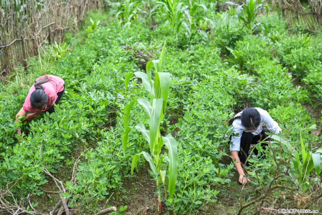 全网追的“扁担女孩”，找了一份暑假工，时薪12元 - 宿迁生活资讯 - 宿迁28生活网 suqian.28life.com
