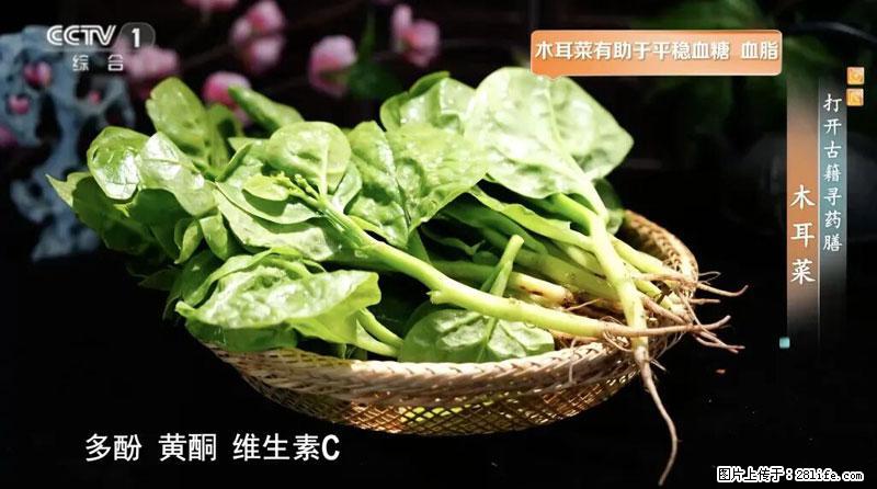 比牛奶补钙还厉害！凉血解毒、稳血糖...这菜冬天必吃，很多人却当草 - 宿迁生活资讯 - 宿迁28生活网 suqian.28life.com
