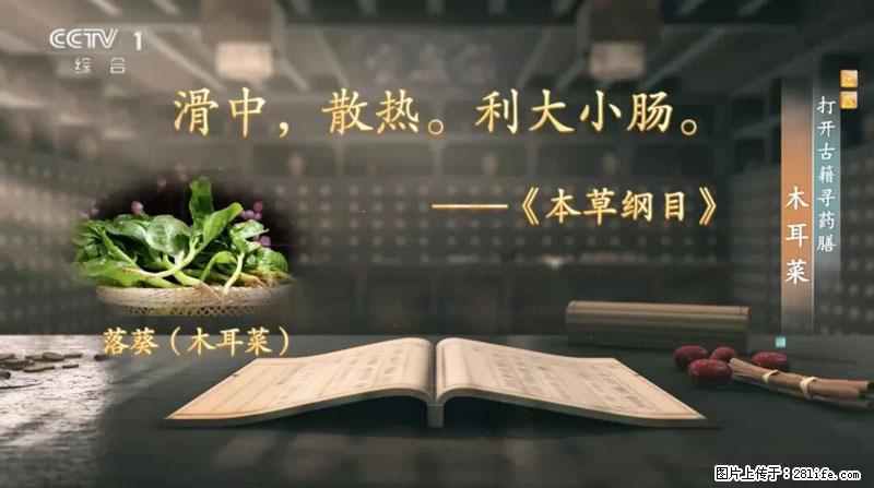 比牛奶补钙还厉害！凉血解毒、稳血糖...这菜冬天必吃，很多人却当草 - 宿迁生活资讯 - 宿迁28生活网 suqian.28life.com