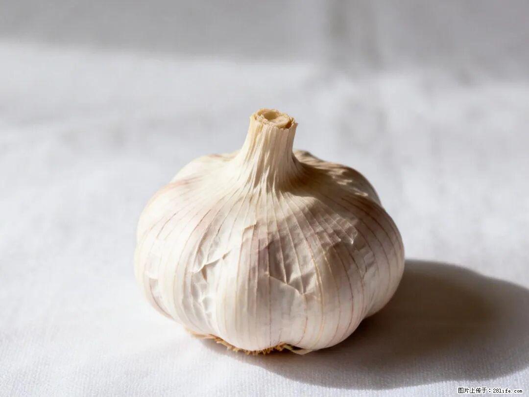 关于大蒜，除了“天然抗生素”，这4个谣言更该警惕! - 宿迁生活资讯 - 宿迁28生活网 suqian.28life.com